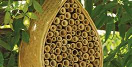 Bee Condo