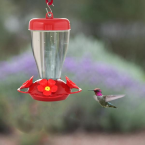 Hummingbird